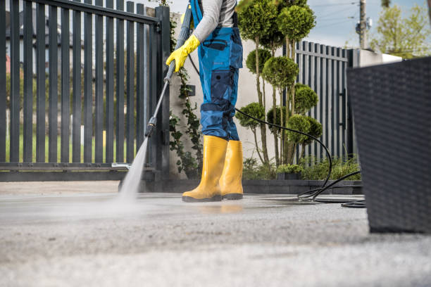 Boat and Dock Cleaning in Chester, MD